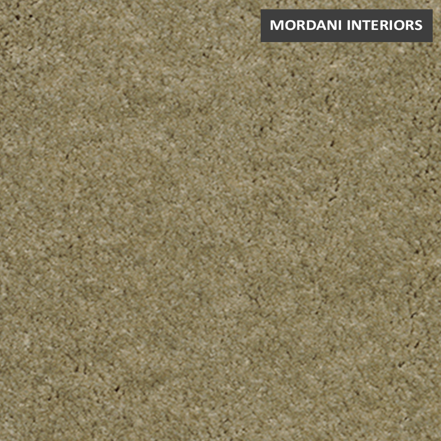 329 Amazon Royal Touch Heritage Wall To Wall Carpet